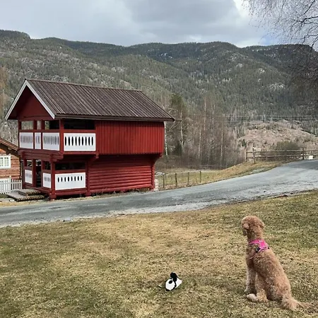Appartamento Hyggelig Pa Smabruk Nesbyen